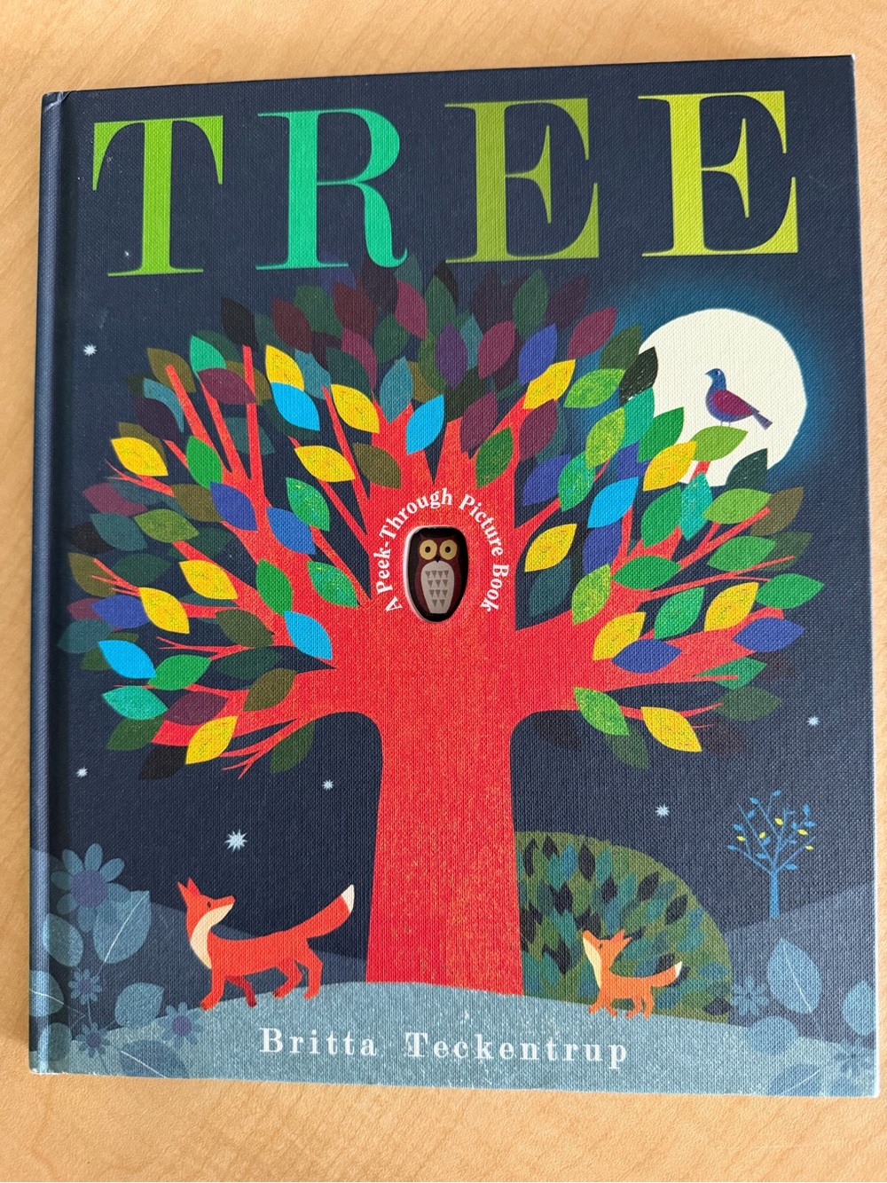TREE Author Britta Teckentrup Colourful Tree Picture Book All Seasons